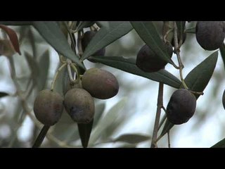 La última cena de un condenado
