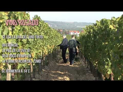 ¿Por qué los vinos son tintos, blancos o rosados?