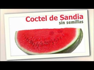 Recetas para hacer cocteles infantiles
