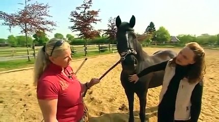 Der XXL Ostfriese - Geburtenplanung