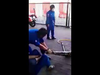 huge-ass-snake-has-dropped-in-for-a-hello