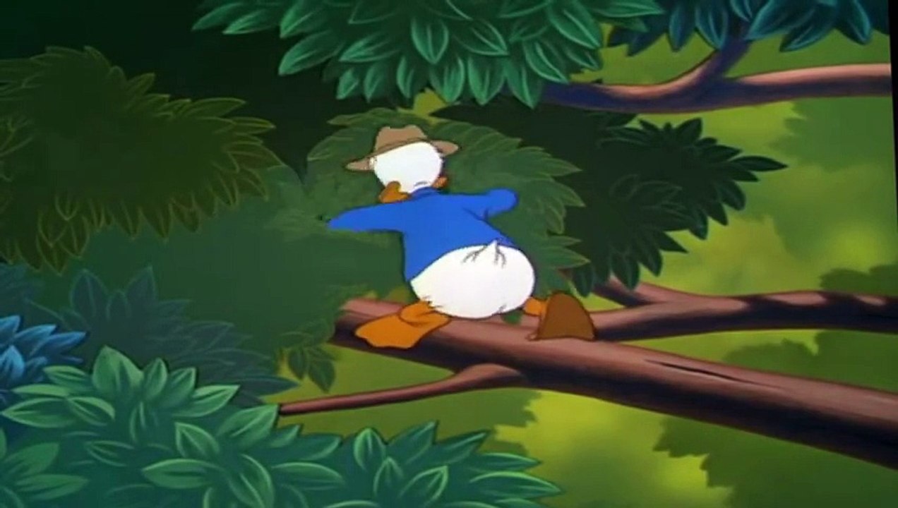 Donald Duck & Chip and Dale Cartoon Full Episodes New HD - Disney Movies