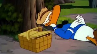 Donald Duck Chip and Dale - Donald Duck Cartoons Full Episodes #1