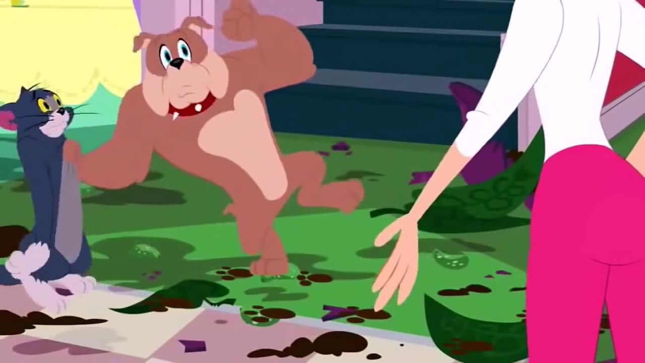 TOM I JERRY po Polsku Nowe Odcinki 2015  Bajki Dla Dzieci po Polsku