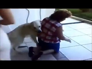 Animals Mating With Humans Funny - video Dailymotion