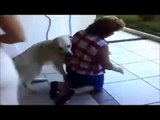 Animals Mating With Humans Funny