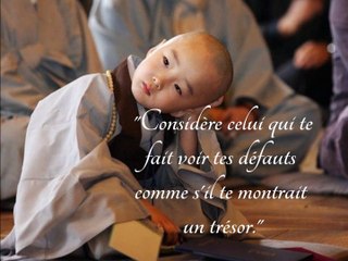 Les plus belles citations de Bouddha