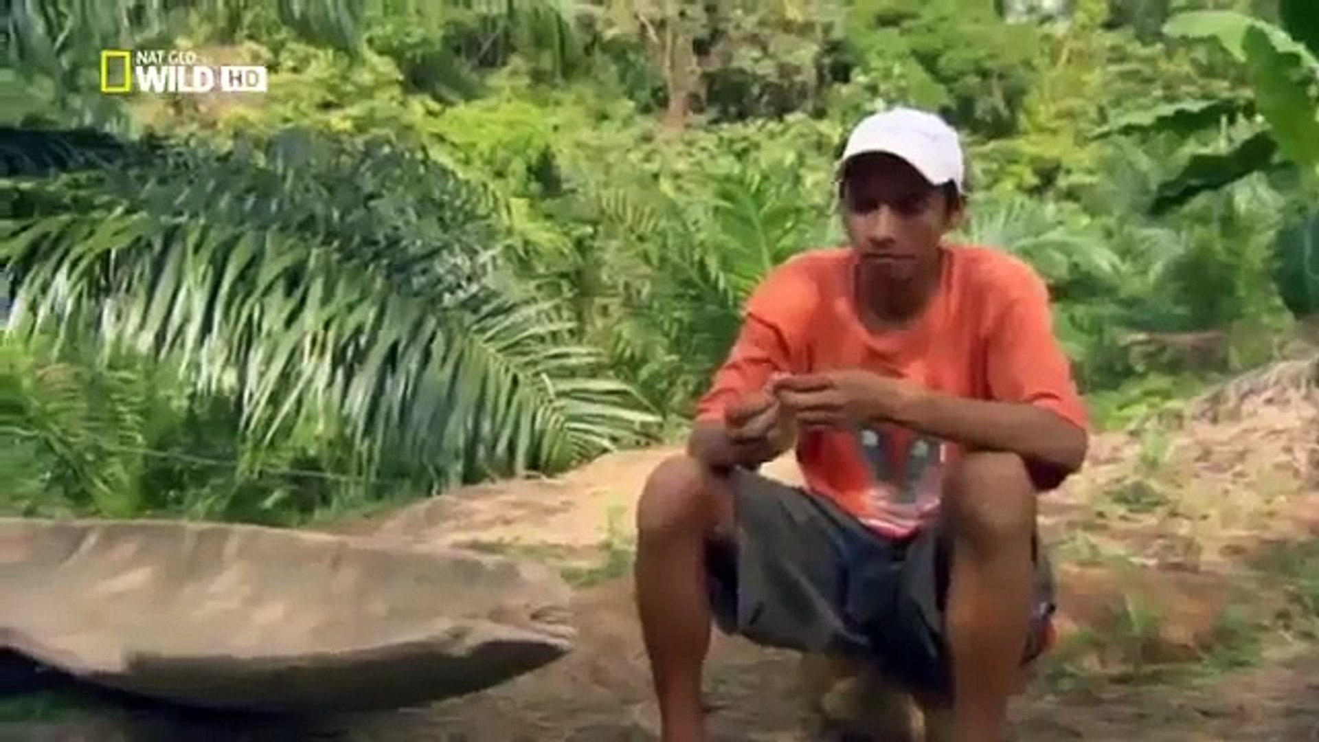 ⁣Animal Planet Worlds Largest Crocodile Documentary 2015