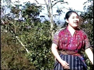 Rossy Castro Fuente De Agua Viva