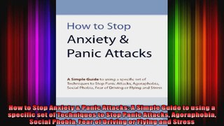 How to Stop Anxiety  Panic Attacks A Simple Guide to using a specific set of Techniques