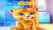 Funny cat ginger ! Cartoon for children cats are so cute playing