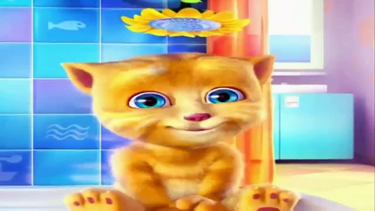 Funny cat ginger ! Cartoon for children cats are so cute playing