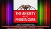 The Anxiety and Phobia Cure How To Overcome Social Anxiety Agoraphobia Panic Attacks and