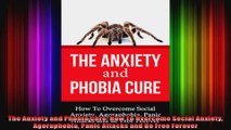 The Anxiety and Phobia Cure How To Overcome Social Anxiety Agoraphobia Panic Attacks and