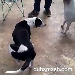 Most Hilarious Unique