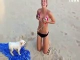 Kızın Bikinisini Açmaya Çalışan Çapkın Köpek