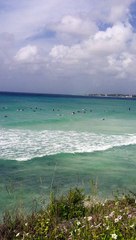 Wife quietly watches husband surf and laughs (innaproprietlly)when he wipeouts