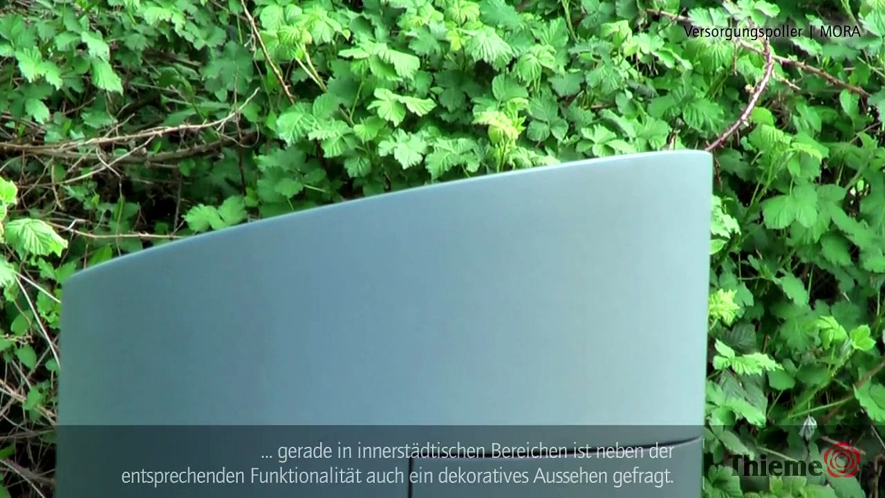 Versorgungspoller mora