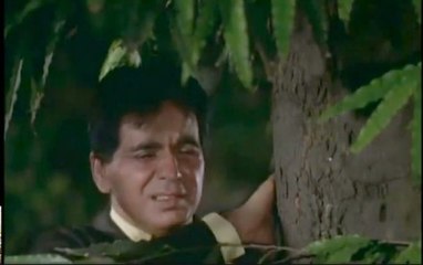 Na Tu Zamin Ke Liye - (Mohammad Rafi)_1-LATA　MUKESH RAFI  MAHINDER KAPOOR KISHOR KUMAR HINDI PUNJABI URD BOLLYWOOD SONG-HD　