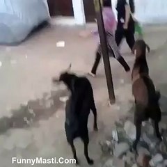 bakre ne liya larki se badla dekhen hahaha