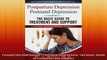 Postpartum Depression  Postnatal Depression The Basic Guide to Treatment and Support