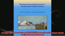 Postpartum Depression  Postnatal Depression The Basic Guide to Treatment  Support