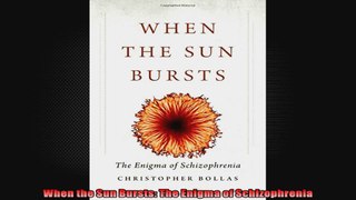 When the Sun Bursts The Enigma of Schizophrenia