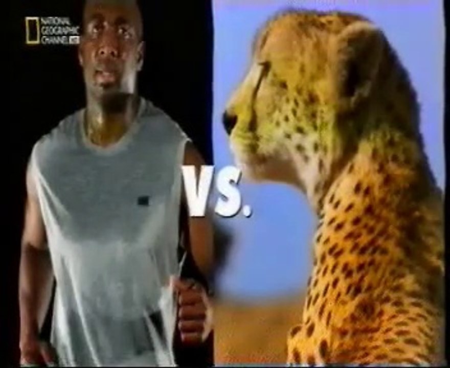 Animales vs. humanos: ¿Nos parecemos?