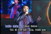 Liên khúc thành phố buồn - Truong Vu, Che Linh karaoke
