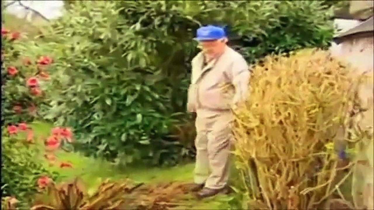 D-Day: The Price of Freedom Documentary