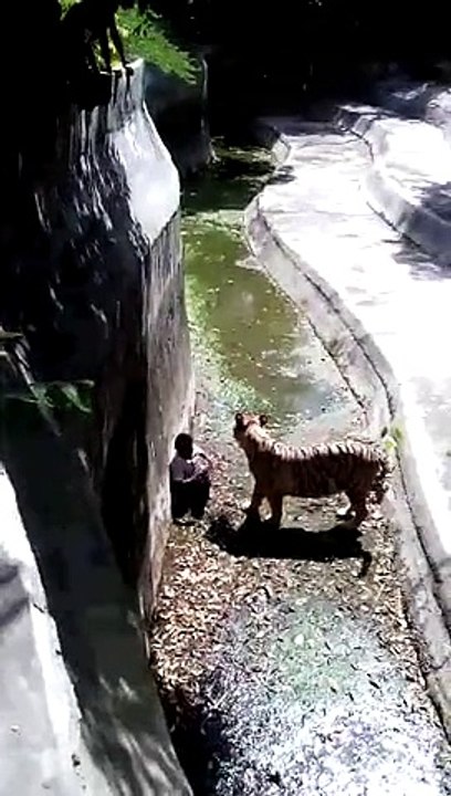 VID-20140927-WA0001