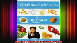 Vitamins  Minerals An Illustrated Guide