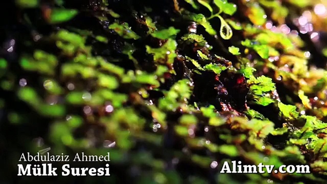 Mülk Suresi Dinle Abdulaziz Ahmed