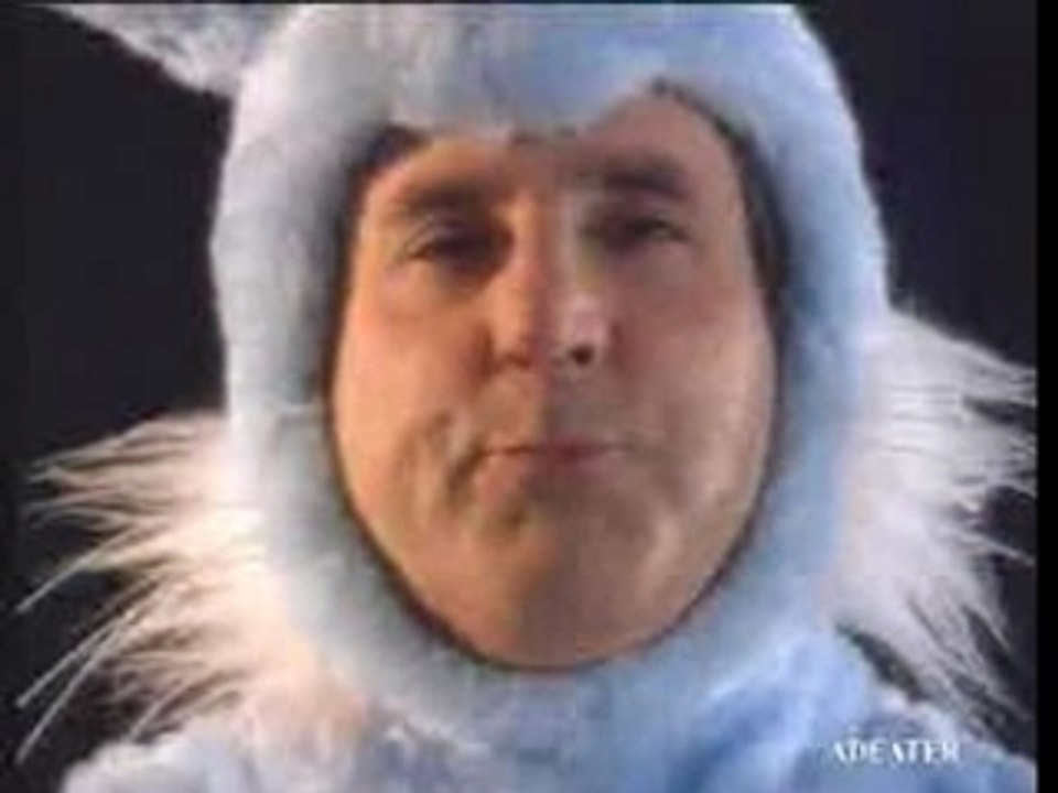 Kisscool_le_lapin