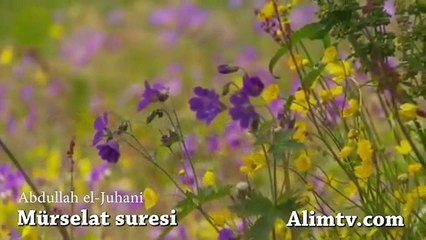 Mürselat Suresi Dinle  Abdullah el-Juhani