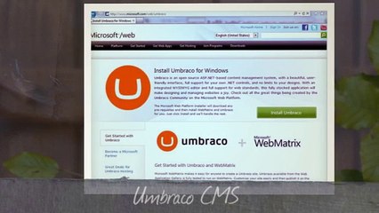 Need a Umbraco Developer, Need Umbraco Expert | infoface.com
