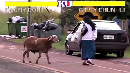 Aşırı Sinirli Keçi - Street Fighter