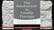 The Adolescent in Family Therapy Breaking the Cycle of Conflict and Control
