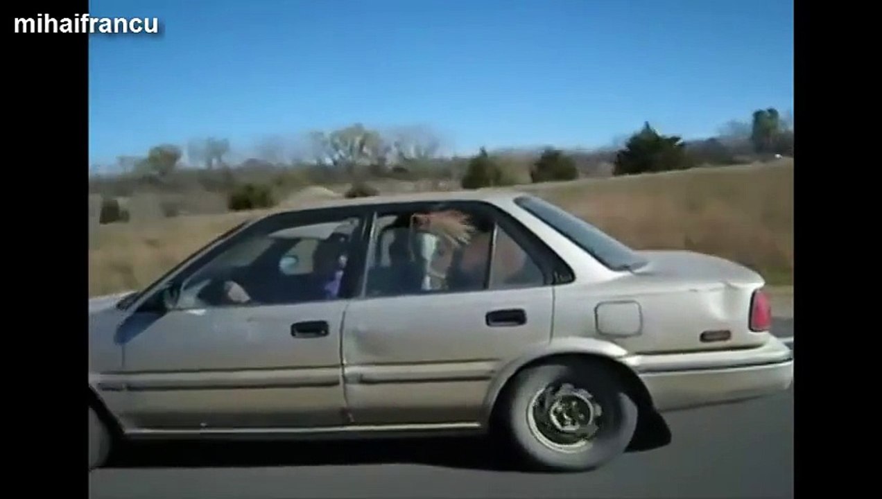 Top 10 Funny Horse Videos Compilation - funny horse - funny horse video - funny horse videos