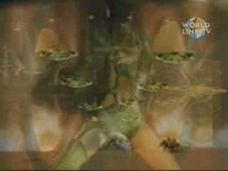 Juno Reactor - Pistolero