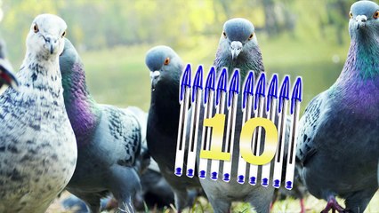 SOS éducation - Faites-vous-cette erreur courante de calcul