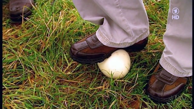 Der XXL Ostfriese E03 SOS bei den Hamburg Freezers und auf zur Straussenfarm