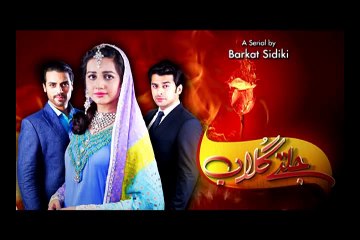 Jaltay Gulaab EP 17 Segment 4