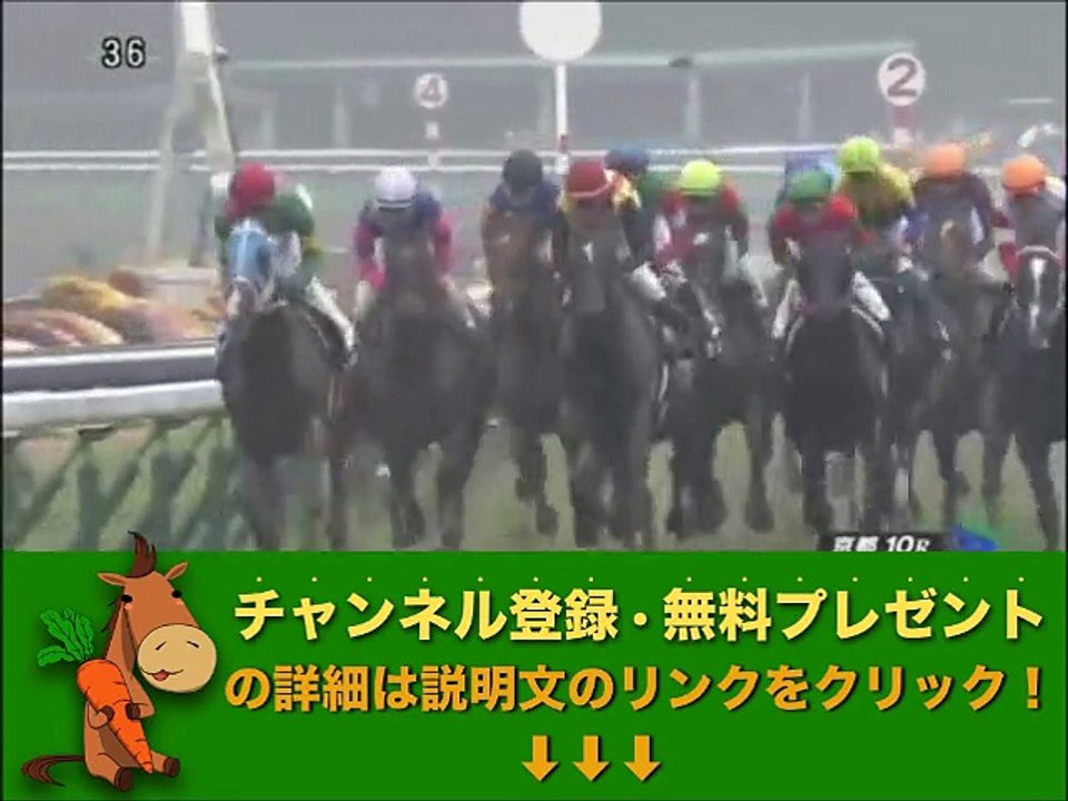 第60回 有馬記念出走予定馬 アルバート 比叡ステークス 1着 競馬予想参考データ「競馬レース結果ハイライト」