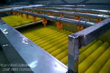 Dây chuyền rửa- sấy- chần- tiền cấp đông