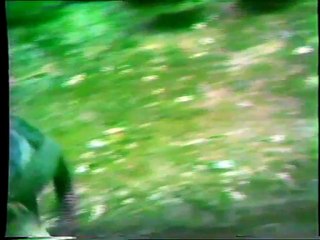 Radara Girmesine Ramak Kalan Eşek