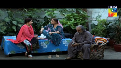 Tum Mere Paas Raho Last Episode Part 1 HUM TV Drama 02 Dec 2015
