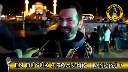 En Büyük Organınız Hangisidir (iki bacak arasında kamış)