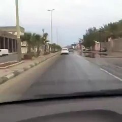 Kertenkelesini Arabayla Gezintiye Çıkaran Adam