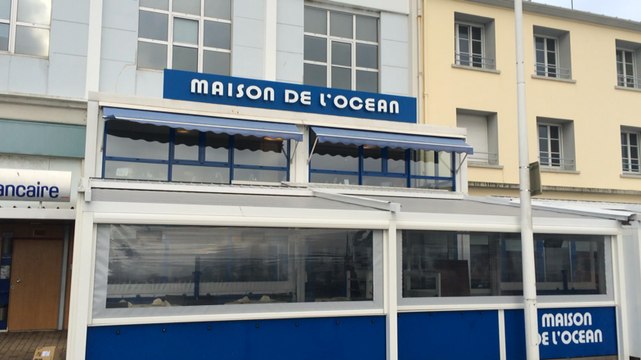 Le meilleur écailler breton est Brestois
